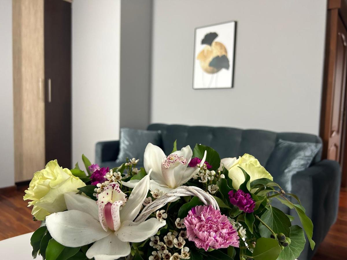 Mala Italia Apartments ヴロツワフ エクステリア 写真